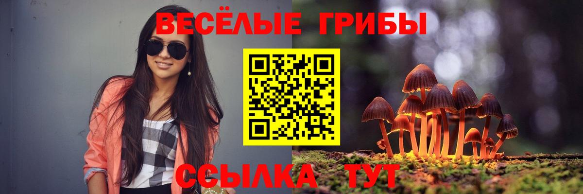 Глазов  Галлюциногенные грибы MAGIC MUSHROOMS  Вход с VPN 
